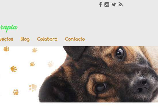 Diseño de página web para asociación en Madrid