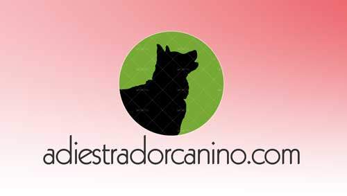 Diseño del nuevo logotipo para entrenador educador de perros