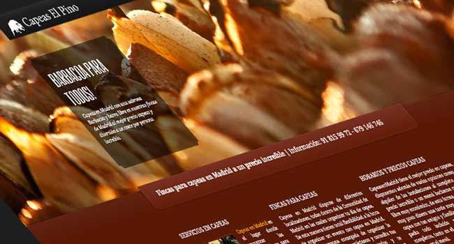 Diseño de página web para empresa de organización eventos y festejos