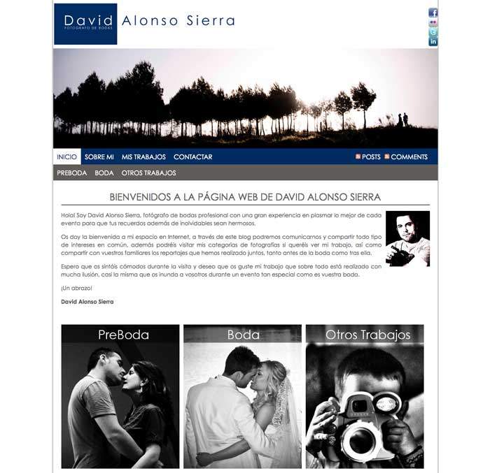 Diseño página web: David Alonso, Fotógrafo profesional de bodas